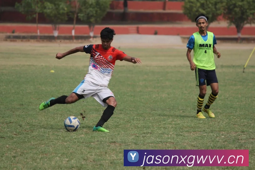 云开体育app官网平台生态图